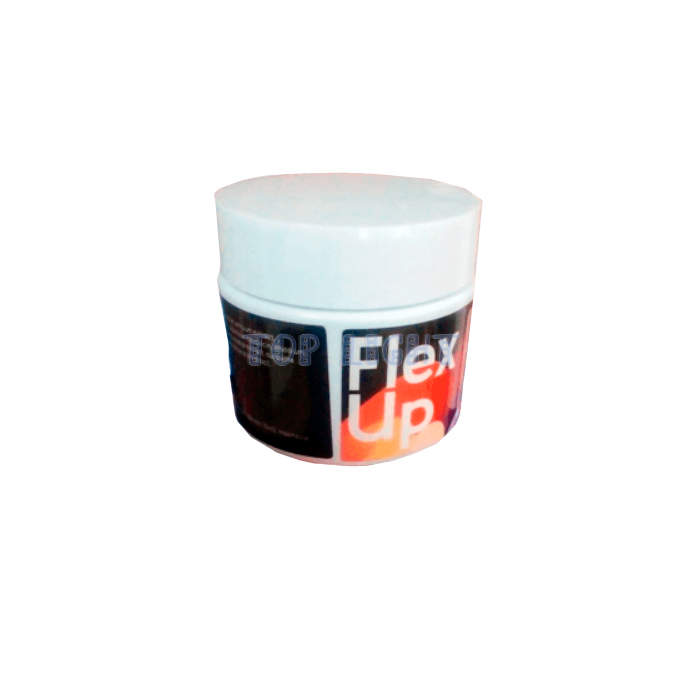 ⌠ Flex Up ⌡ ⌠ joint health product ⌡